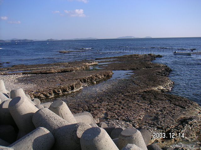 s_PICT0013.jpg